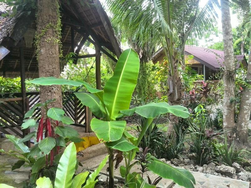 Bananaland Cottages Tawala (Panglao) Exterior foto